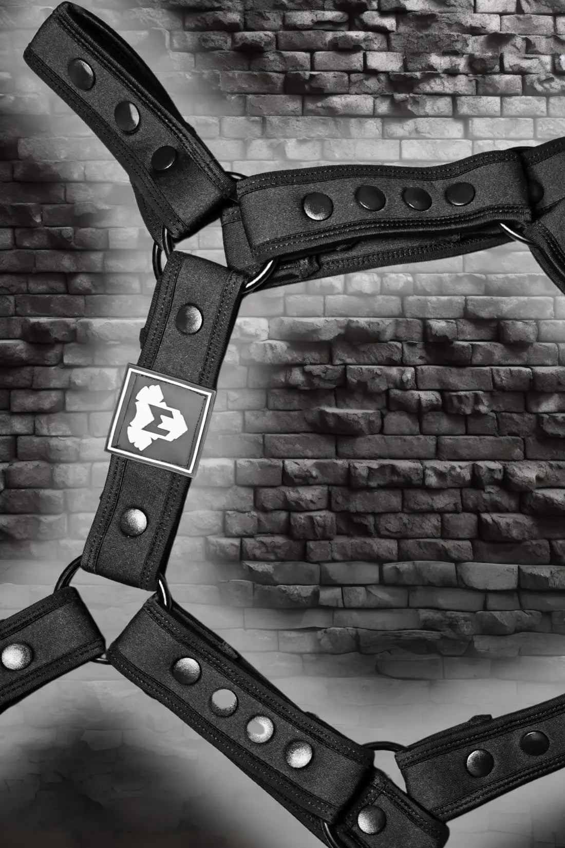 Jaxon Hexguard. Neoprene body harness. Black - Maskulo - MHR192 - YX - Maskulo EU Global Online Store