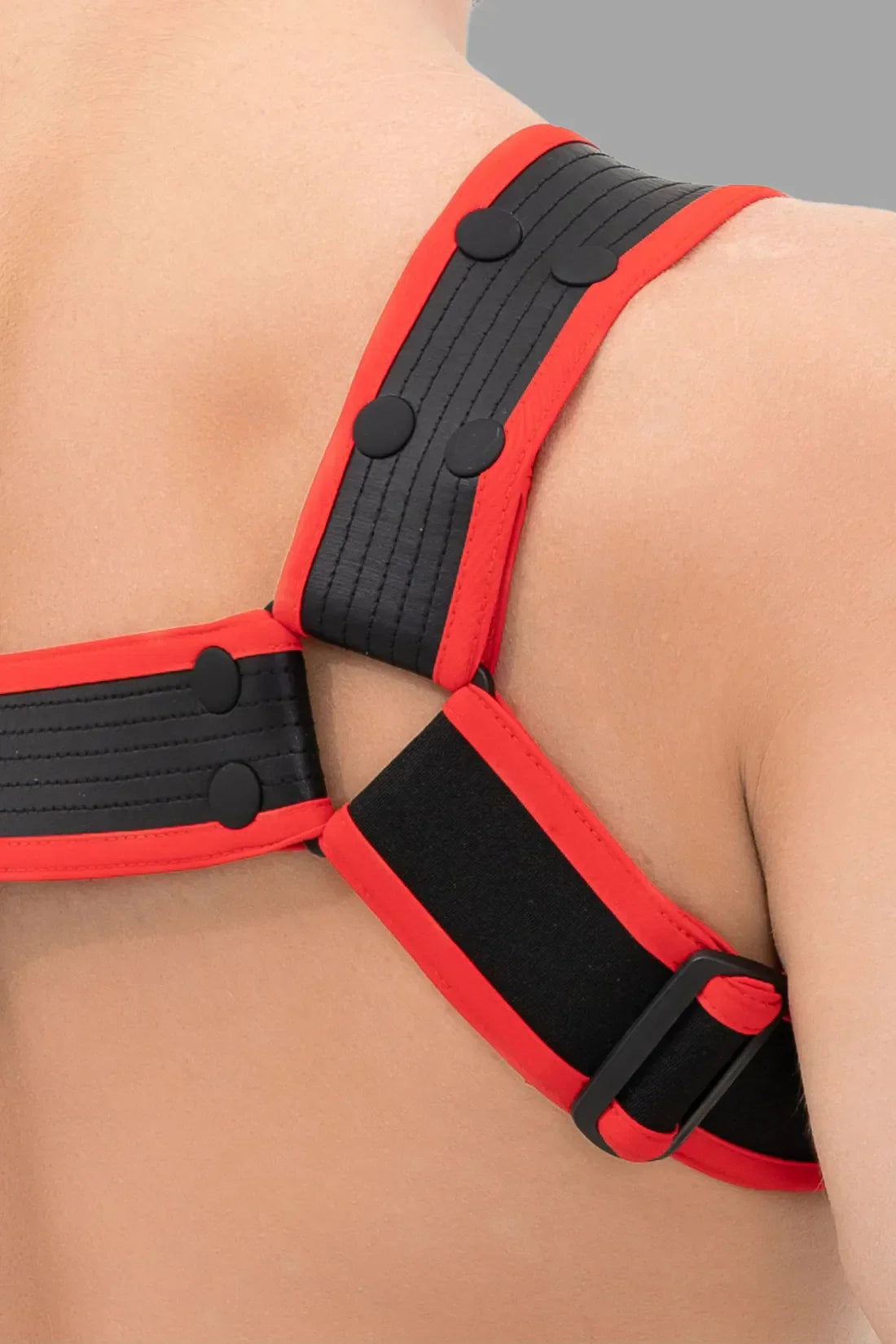 Outtox. Bulldog Harness with Snaps. Black &amp; Red